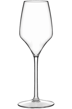 Copa Cava Chardonnay reutilizable 250 cc