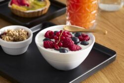 Cuenco melamina 300 Ml  -Pack 12 Uds.