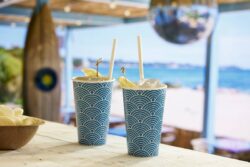 Vaso desechable Verano