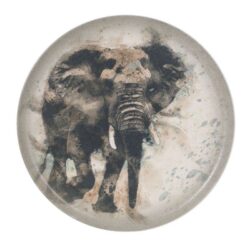 PLATO PRESENTACION ELEFANTE-SAVANNA ø32x2cm 6u/c