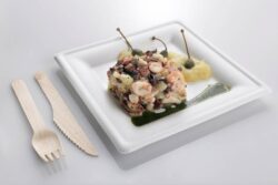 Funda bio cuadrada 16x16cm– Pack 1000 Uds.