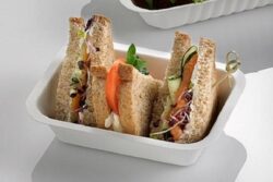 Bandeja de pulpa de celulosa 500ml– Pack 500 Uds.