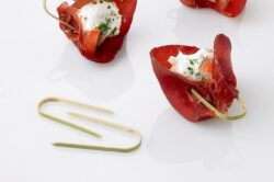 Portaboquillas Chiba- Pack 5000 Uds.